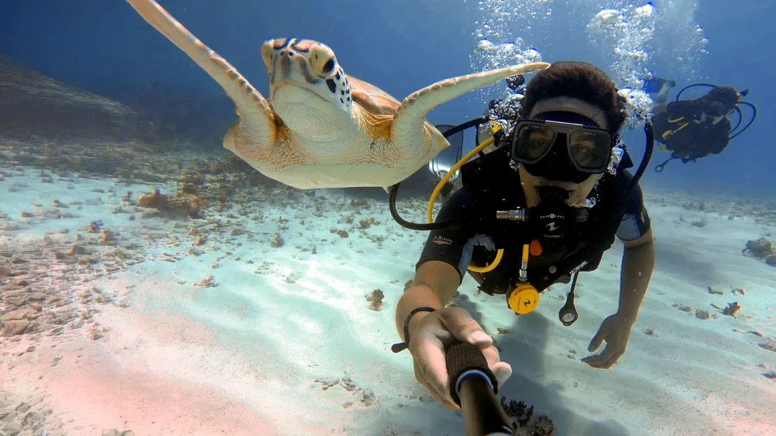 Always Diving, Cancún