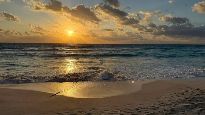 Playa Ballenas, Cancun