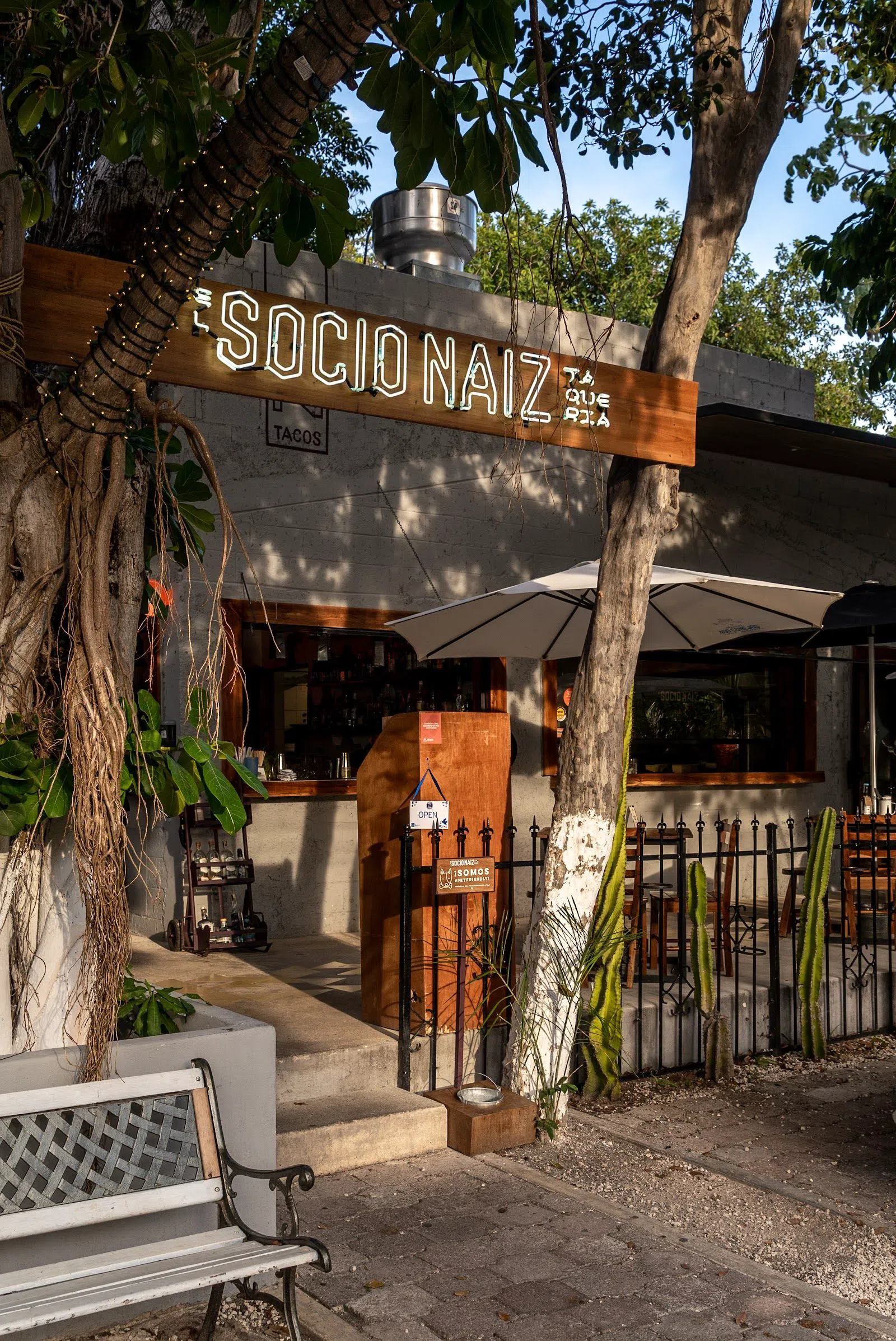 El Socio Naiz, Cancun