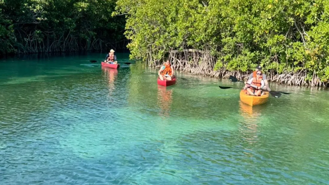 360 Kayak & Paddleboard Tours Cancun, Cancun