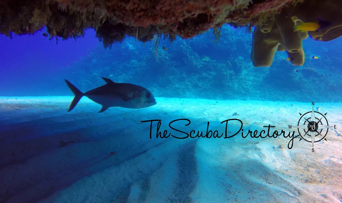 Aqua Adventures Eco Divers, Cancun