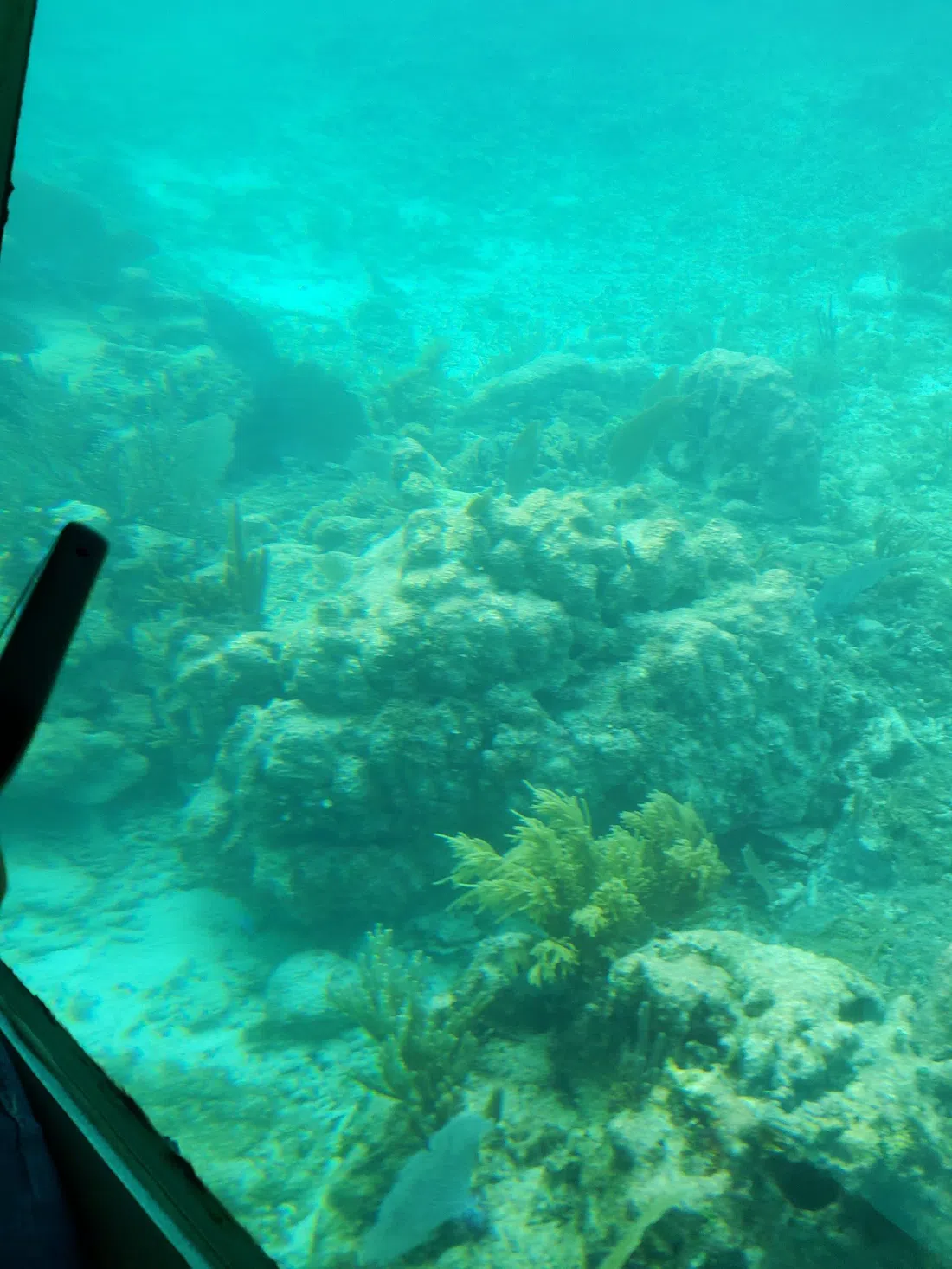Aquaworld, Cancun