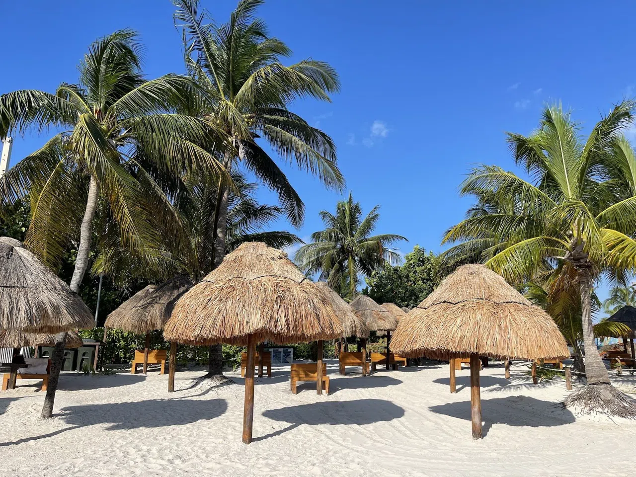 Cancun's Sargassum Season and Where the Water Stays Clear