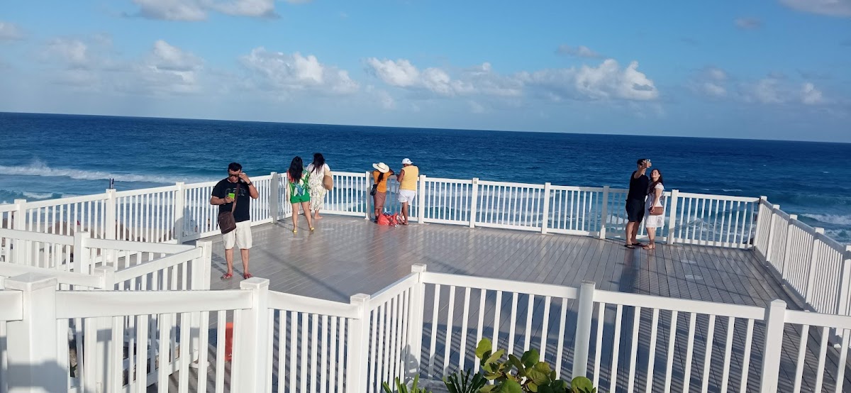 El Mirador — photo 2