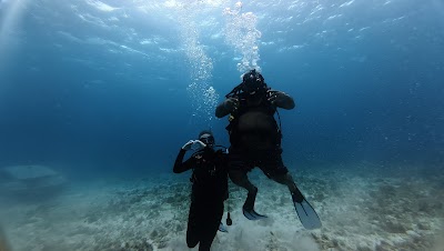 Go snorkeling or diving at MUSA