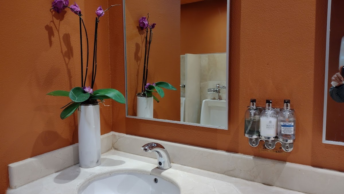 Live Aqua Beach Resort Cancun — photo 4