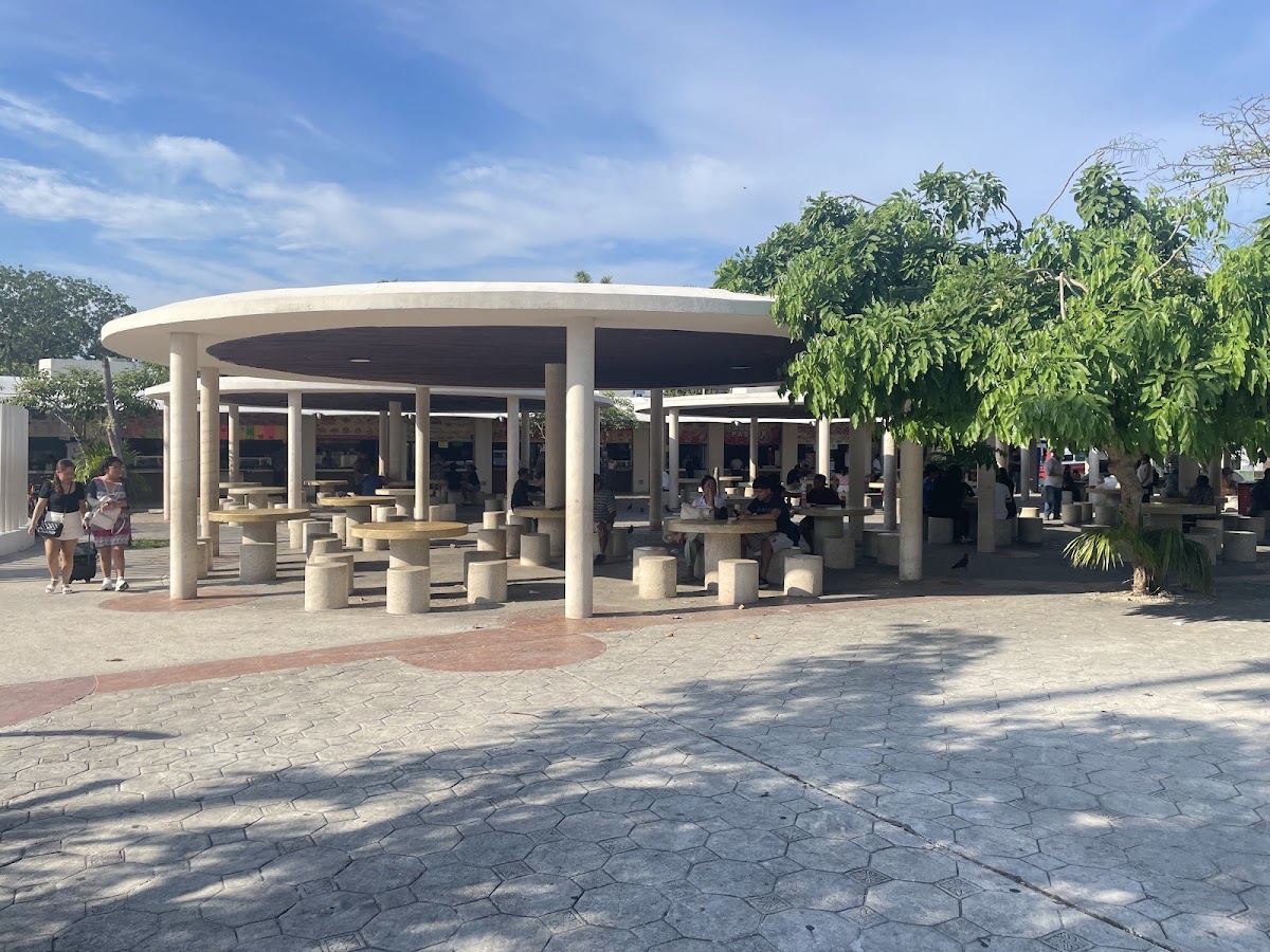 Parque Las Palapas — photo 2