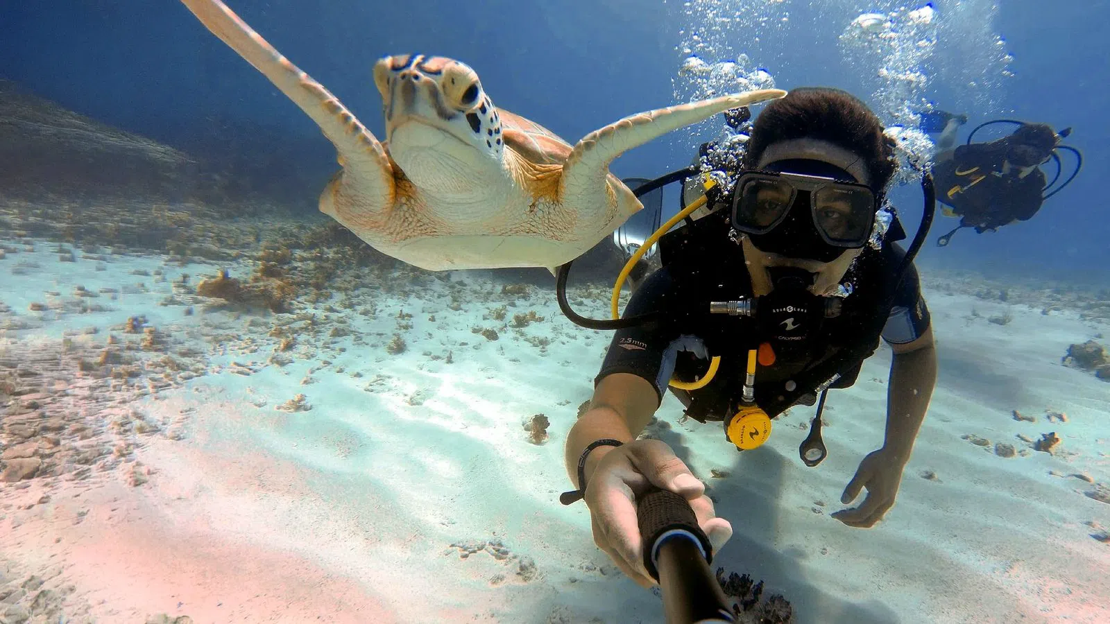 Always Diving, Cancún