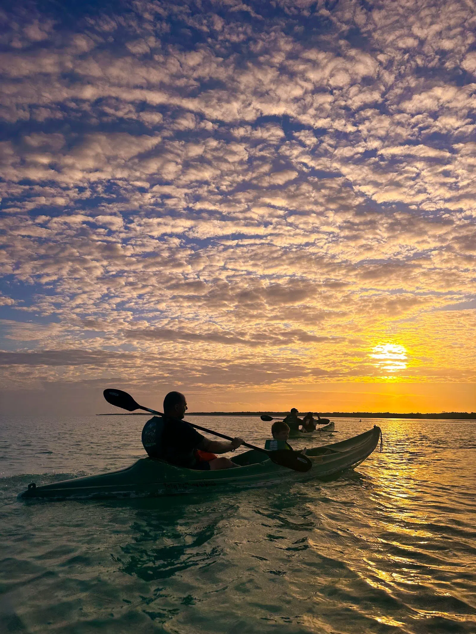 Kayak Scouts Holbox, Cancún