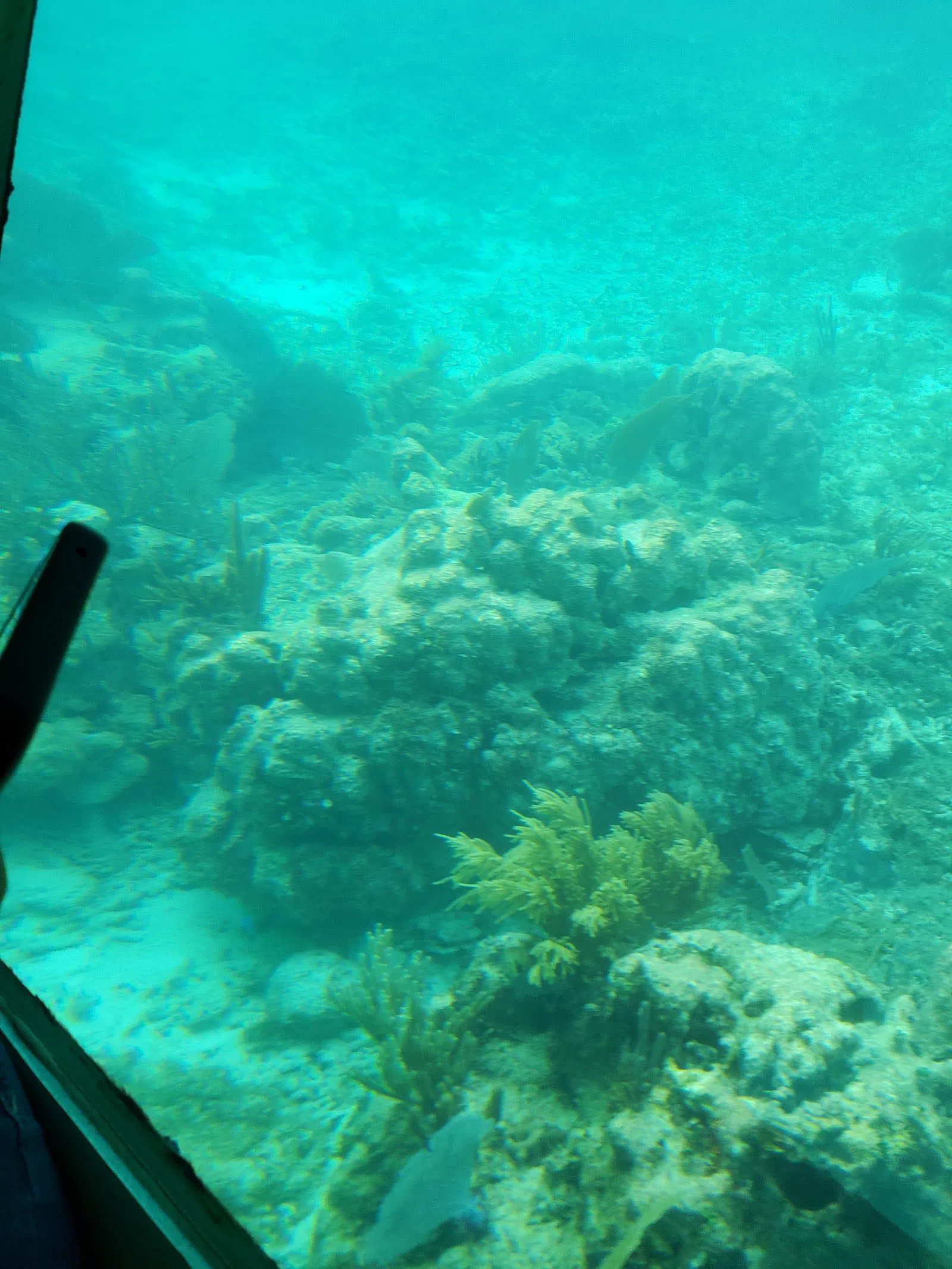 Aquaworld, Cancún